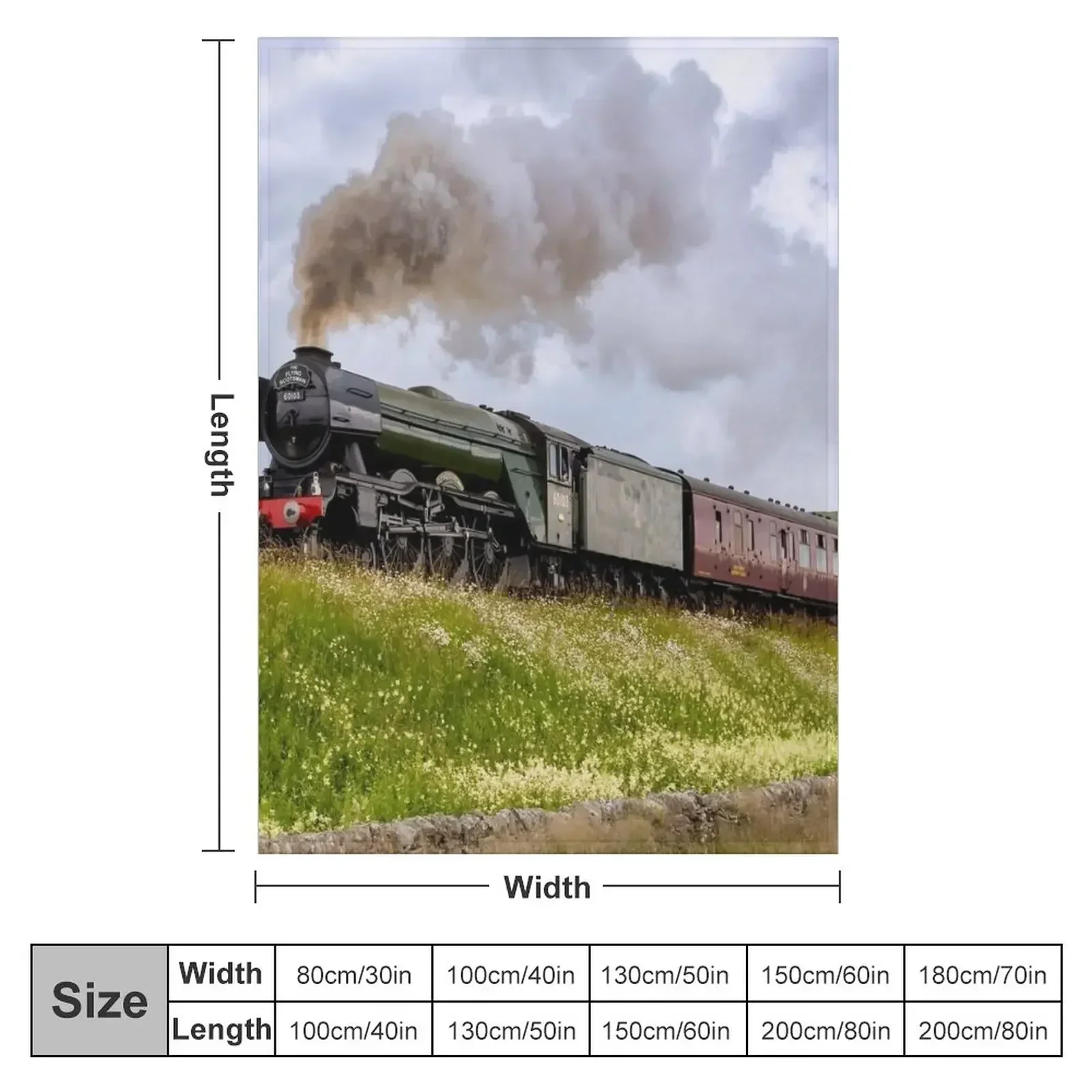The Flying Scotsman in Yorkshi - огляд і ціна 3D Printing Yorkshire