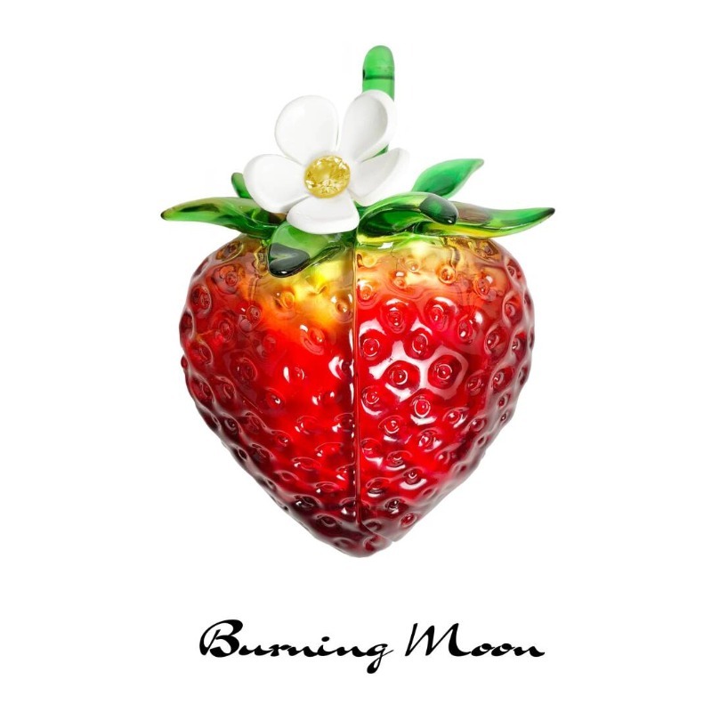 Strawberry Earphone Case for A - огляд і ціна 3D Printing Housing