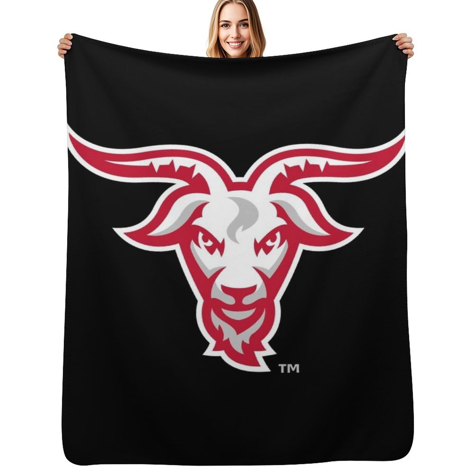 wpi Worcester engineers Throw  - огляд і ціна 3D Printing Engineer
