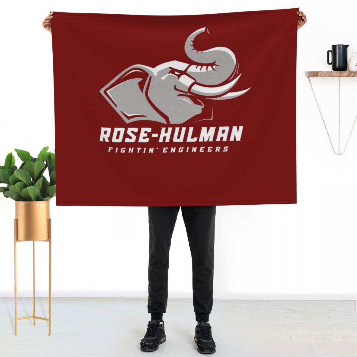 The Rose Hulman Fightin' Engin - огляд і ціна 3D Printing Engineer