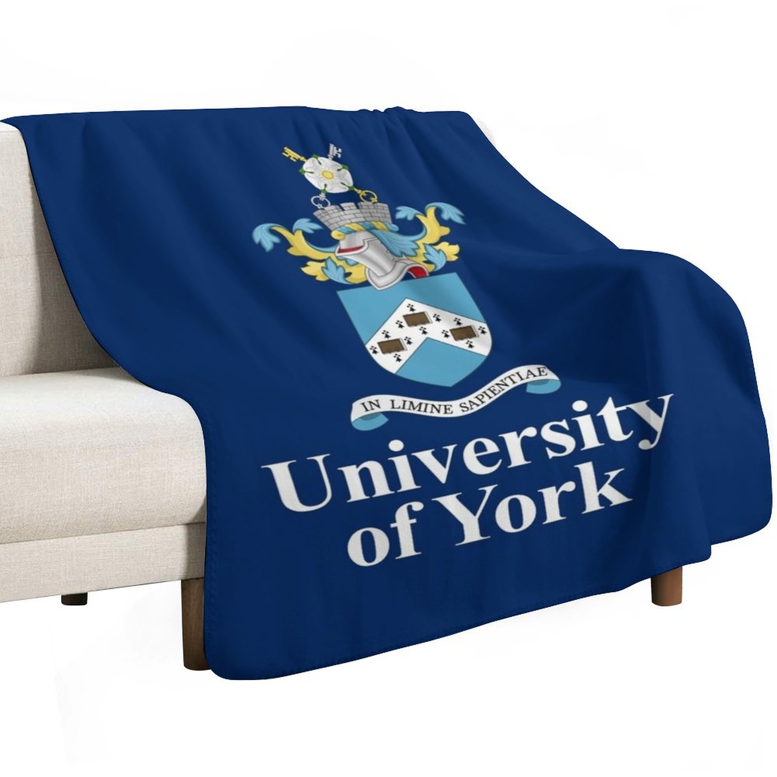 University of York Throw Blank - огляд і ціна 3D Printing York
